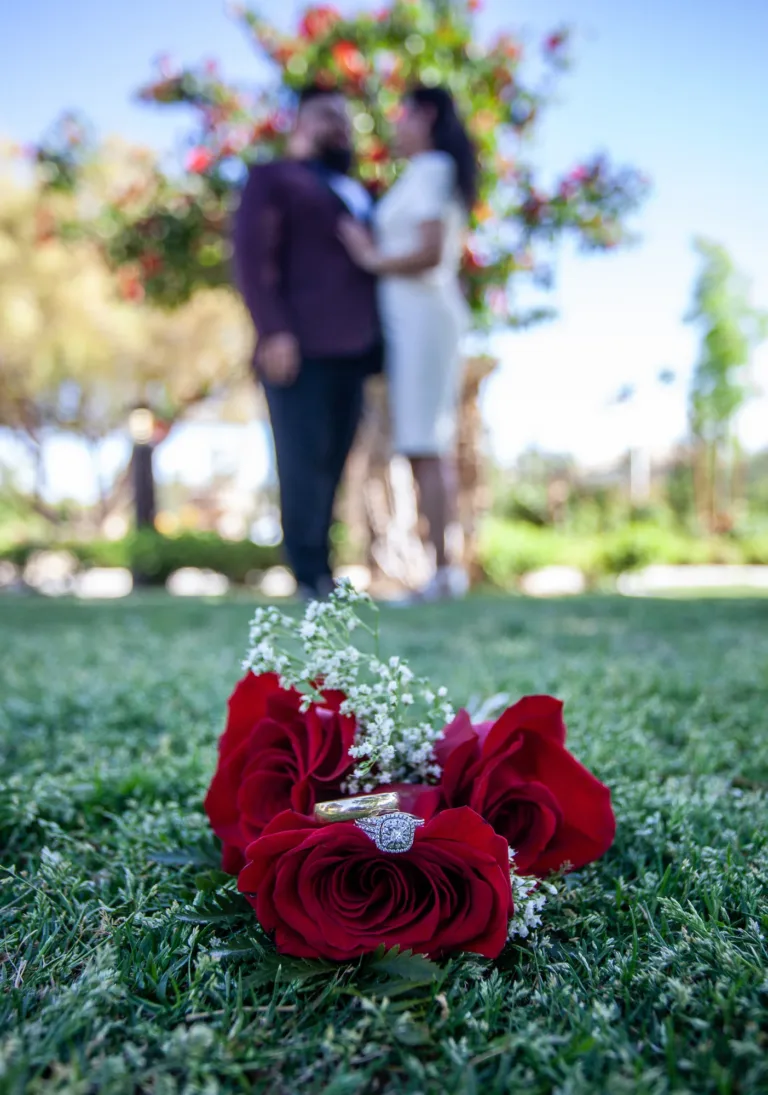 A close-up shot of the bride and groom's wedding rings at a park in Las Vegas.